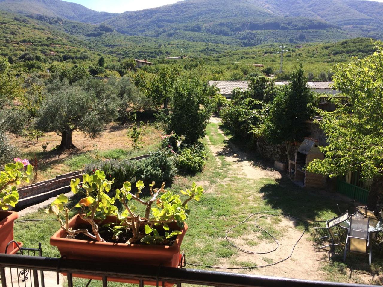 Apartament La Antigua Tahona Navaconcejo Zewnętrze zdjęcie